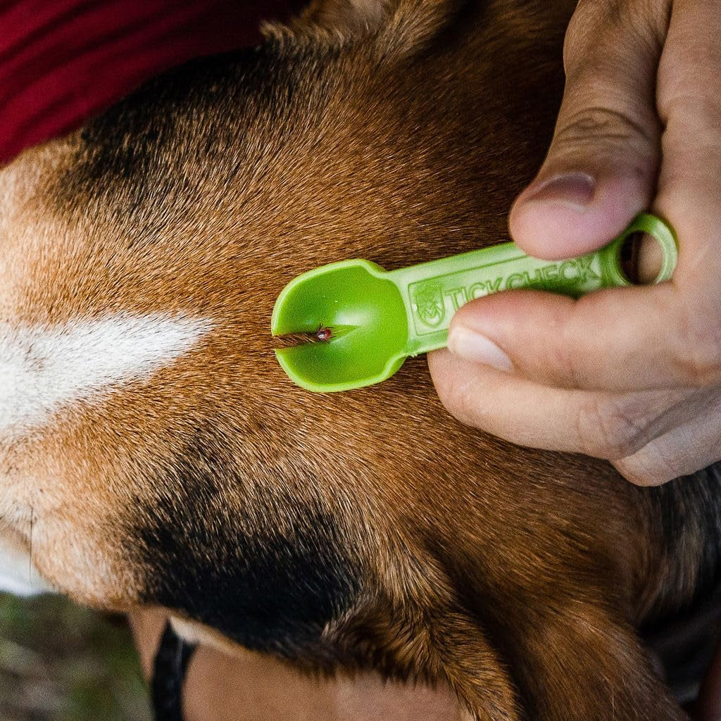 Tick Remover Spoon (1 Set, 3 Spoons)